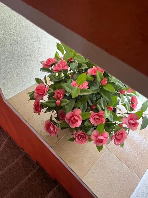La Casetta Delle Nuvole Mazzo di Valtellina Ngoại thất bức ảnh